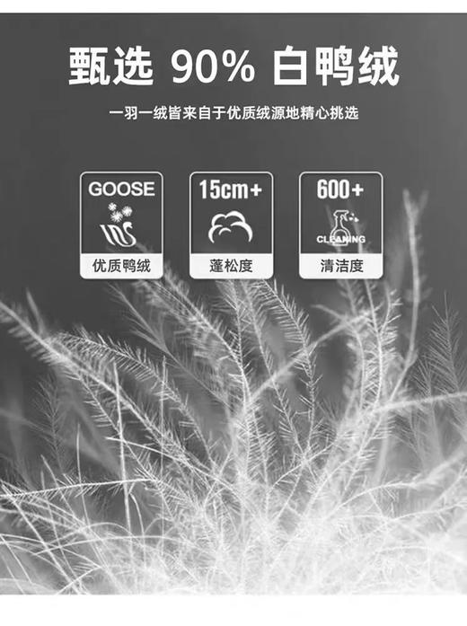 F030605男士立领90%白鸭绒背心休闲保暖马甲外套 商品图13