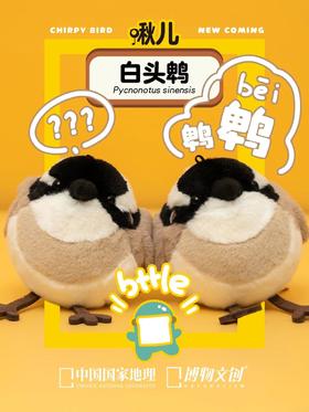 白头翁原来就是你！