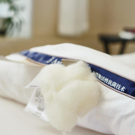 日式无印抗菌羊毛被良品纯色澳洲羊毛被芯立体羊毛被秋冬保暖被子 商品图3