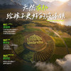 效期至27年6月 小小伞有机pro液体铁20条/盒 商品缩略图4