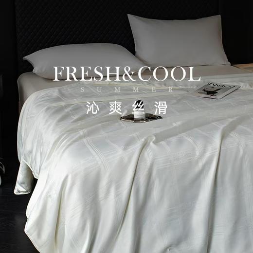 新品优质蚕丝夏被 商品图0