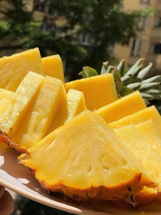 海南金钻凤梨🍍浓郁的果香、饱满的果肉、脆嫩爆汁的口感。是多少吃货们心心念念的那一口「甜蜜😋 商品图1