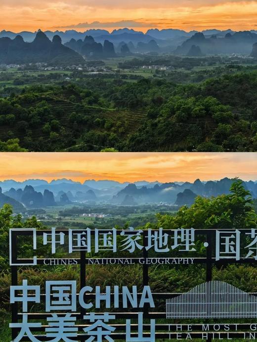 【复活节专线】山水治愈 | 清远深度漫游包车（古龙峡/英西峰林/T3茶园） 商品图4