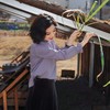 西子/伯爵衬衣竹浆细旦抽褶立领紫色不易皱衬衣/SYTJ473 商品缩略图2