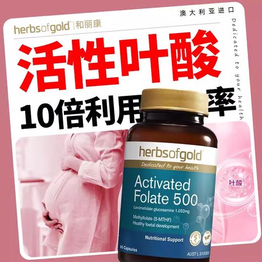 HerbsofGold和丽康活性叶酸胶囊 60粒 商品图1