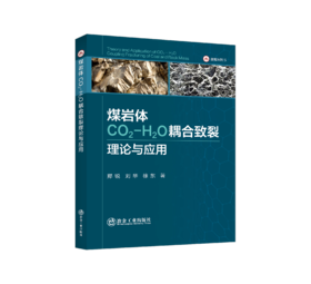 煤岩体CO₂ - H₂O耦合致裂理论与应用
