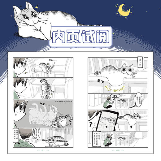 【预售】与猫共度的夜晚. 1（随书赠送精美书签4张）关于养猫我一直是新手，幽默搞笑萌宠猫咪丘尔嘉不可思议的日常生态，全彩漫画 商品图6