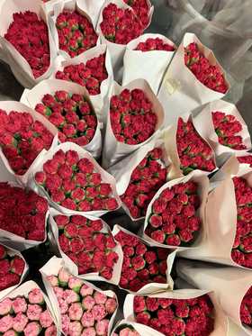 红色康乃馨单头20支