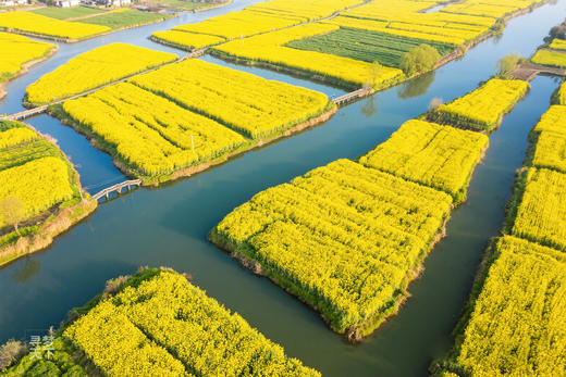江淮春摄·花海秘境 7天团：安徽芜湖响水涧油菜花、安庆天峡杜鹃花、泾县油纸伞、桃花潭、查济古村、家朋梯田、马鞍山桃花 商品图7