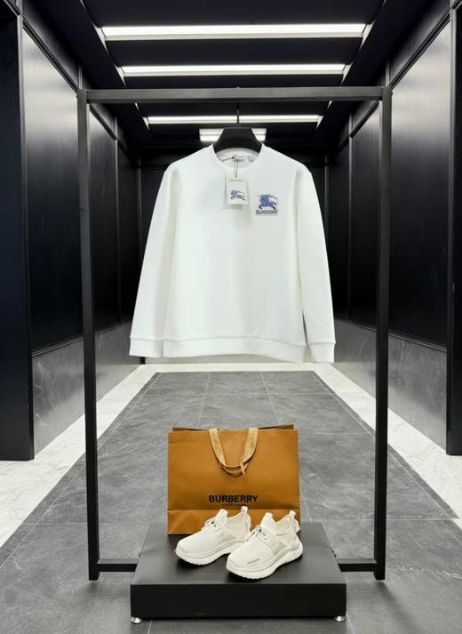 F0306126早春植绒刺绣工艺水柔棉工艺情侣款圆领套头卫衣 商品图4