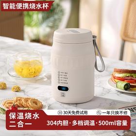 便携式烧水杯45℃暖奶器保温杯泡茶冲奶电炖杯旅行酒店电热杯