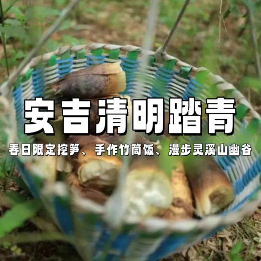 【亲子营】清明特期 | 带娃一起挖笋、砍竹、做竹筒饭，奇遇灵溪山幽谷杜鹃，捕捉春“滋”味 商品图0