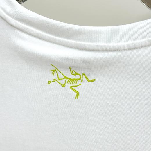 点此购买 始祖鸟KRAGG春夏季男士棉质短袖T恤 qk 341437 商品图8