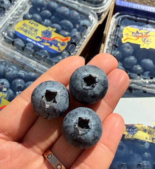 云南花香22+大蓝莓 商品图2