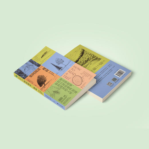 《如何阅读一棵树：探寻树木的生命密语》 商品图12