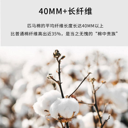 【代发】绎生活匹马棉床笠三件套1米5 商品图5