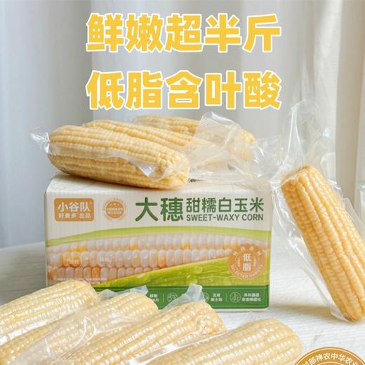 口感甜糯Q弹有嚼劲🌽【小谷队大穗甜糯白玉米】健康主食新选择🏆一根有“身份”的获奖玉米✅ 非转基因+品质全程把控，真正吃得放心的安心粗粮！ 商品图0