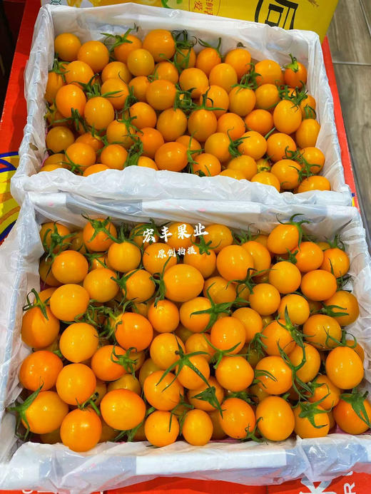 宏丰精选 红黄千禧圣女果 ，口感很甜，当季水果推荐 商品图4