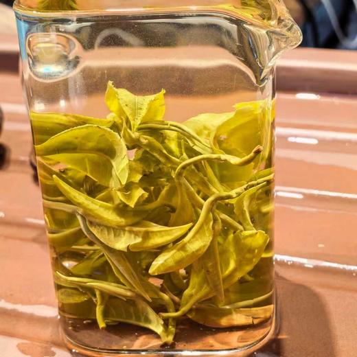 【近些年来樶强的一批】2026年顶亟茶！春茶的超鲜爽滋味！您绝未体验过得【至香碧螺】云抗十号最高端樶经典的碧螺春！云南碧螺春的巅峰作品！只限内部分享 300g/罐！ 商品图3
