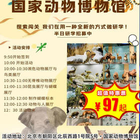 【半日营·3月28日-5月2日】国家动物博物馆趣味闯关 沉浸式逛展+亲手做蝴蝶标本，解锁奇妙动物世界！