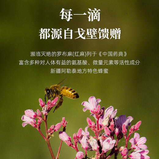 戈宝红麻 蜂蜜500g 商品图4