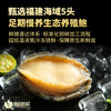 【新品上市】德叔鲍鱼黑松露鲍汁鲍鱼1只装*8盒【冷冻储存】 商品缩略图1
