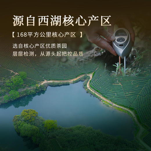 【2026年新茶上新】狮峰丨沁字特级罐装 西湖龙井 绿茶 明前特级 50g  商品图5