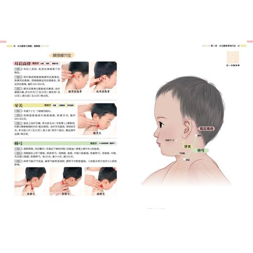 小儿推拿大图册：视频版 商品图5