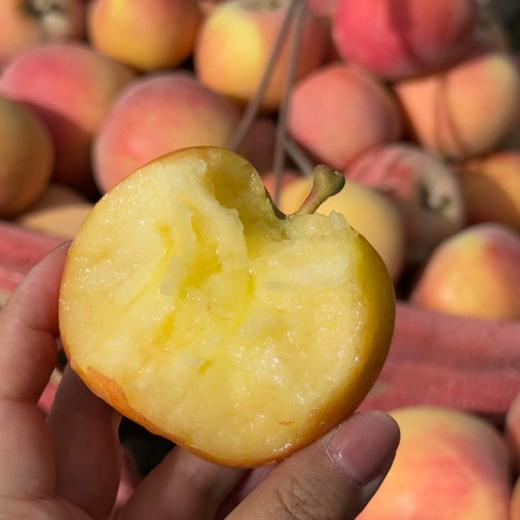 新疆阿克苏樱桃小苹果🍎【顺丰快递，樱桃苹果纯甜，糖分比较高，收到后冰箱保存】 商品图3