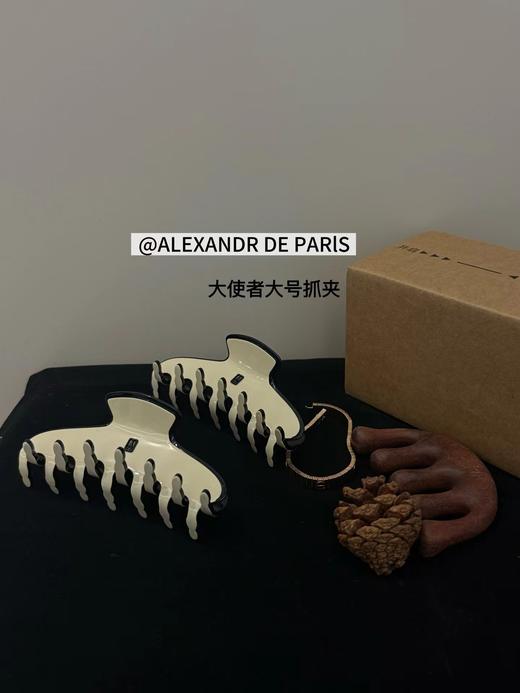 F030652醋酸材质极简线条点缀使者鲨鱼夹抓夹 商品图5