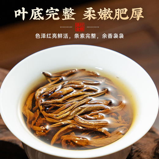【春季茶礼】茶叶 滇红 金螺 红茶 春季茶礼 福马 茶饮 五虎 300g 商品图8