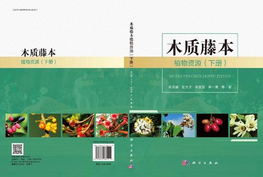 木质藤本植物资源（下册） 商品图3