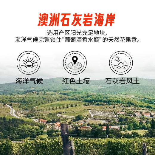 奥兰艺术家澳洲莫斯卡托甜白葡萄酒 进口10%vol 小甜水微醺送礼750ml 商品图3