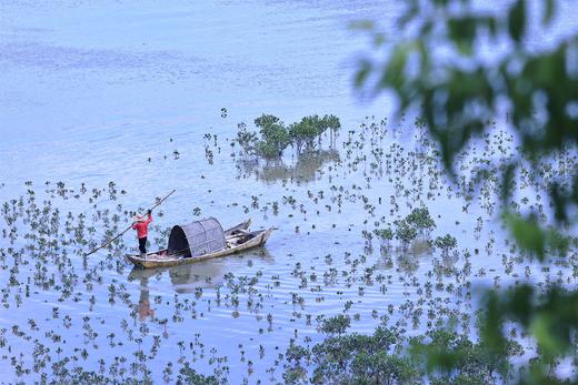 浙闽诗意山海休闲摄影6天—8天：  游览邂逅中国最美的廊桥、海岛、滩涂、最美古树——温州泰顺廊桥、文成百丈漈、宁德霞浦、大嵛山岛、四礵列岛 商品图4