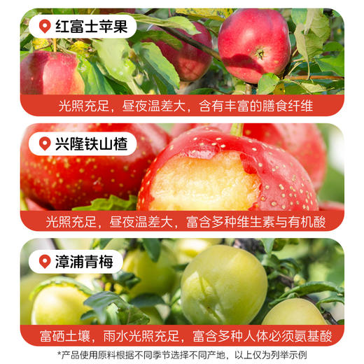 【限时活动】金豆芽儿童山楂汁消消乳酸菌饮料酸甜好喝 商品图3