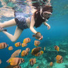 海洋 亚庇海钓一日游 商品缩略图3