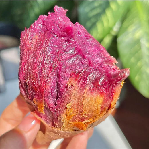 【基地直发】云南高山蜜糖紫薯，肉质软糯香甜，无丝无筋，薯香浓郁，沙地种植自然生长，净重3斤/4.5斤 商品图6