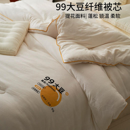 日式无印柔软提花被芯良品a类加厚被子冬被母婴纯色99大豆纤维被 商品图0