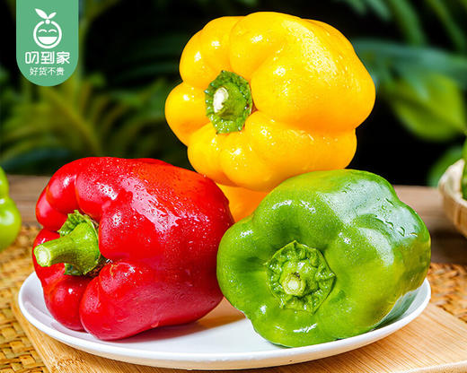 漳州新鲜三色彩椒（各一个）/1份（3个，共600g±50g） 商品图1