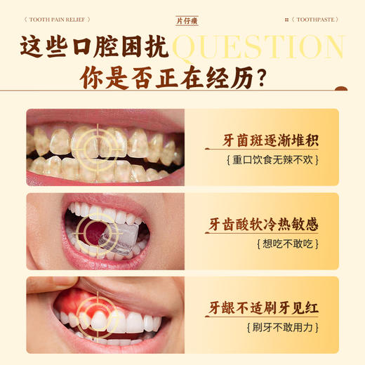 【港版】片仔癀牙火清牙膏清爽口气降火去口臭清火护龈抑制牙菌斑 商品图1