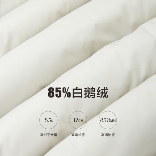 白鹅绒短款连帽羽绒服 商品图2