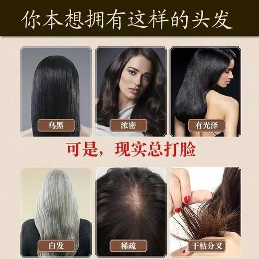 芝麻丸 黑芝麻丸养身丸黑芝麻丸养生肾丸九蒸九晒芝麻丸丸辟谷丸子芝麻球 商品图2