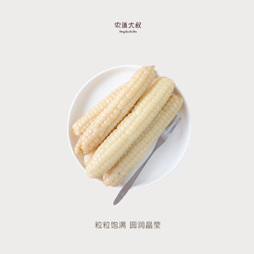 【豆豆LAB】拇指玉米  清香软糯 800g/盒 商品图1