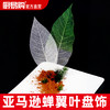 亚马逊蝉翼叶每包50片 商品缩略图0