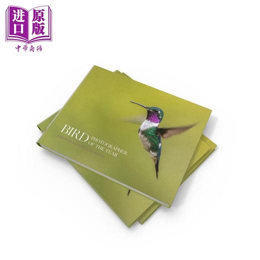 【中商原版】Bird Photographer of the Year 进口艺术 年度鸟类摄影师 商品图2