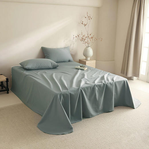 日式无印100支全棉单品磨毛床单良品纯色中厚长绒棉床罩秋冬床单 商品图2