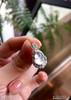 6041002，葫芦吊坠。具体价格微信次咨询 商品缩略图2