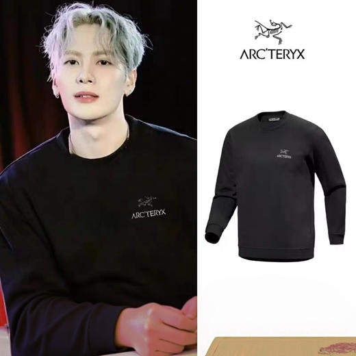 鸟家卫衣王嘉尔同款原单刺绣卫衣 商品图0