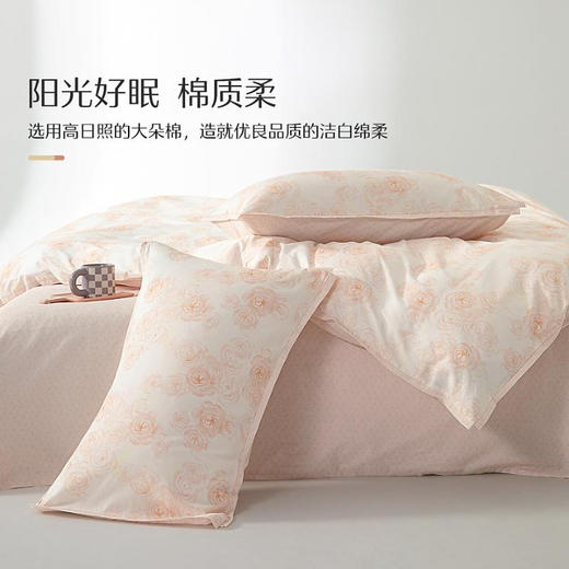 水星家纺丨冷杉玫瑰四件套 商品图2