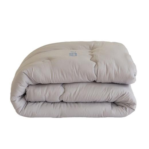 【特价】日系无印亲肤大豆被良品纯色冬被双人被芯秋冬加厚被子 商品图4